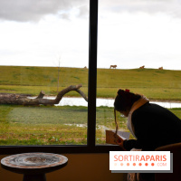 Le Royaume des Lions, l'hôtel immersif à la Lumigny Safari Reserve - nos photos - C46526C1 A8FD 4F28 9DED F6B5DC426CB1