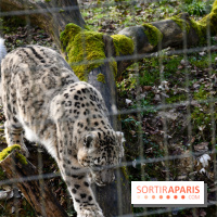 Lumigny Safari Reserve - nos photos