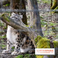 Lumigny Safari Reserve - nos photos