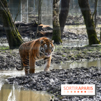 Lumigny Safari Reserve - nos photos