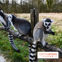 Lumigny Safari Reserve - nos photos