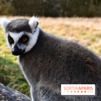 Lumigny Safari Reserve - nos photos