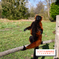Lumigny Safari Reserve - nos photos