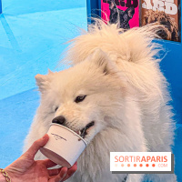 Je T'aime Comme Un Chien : food, mode, déco ... une expo qui a du chien au Bon Marché Rive Gauche - image00033