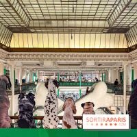 Je T'aime Comme Un Chien : food, mode, déco ... une expo qui a du chien au Bon Marché Rive Gauche - image00041