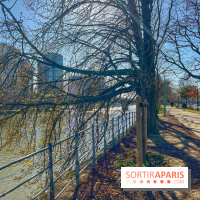 Île aux Cygnes - IMG 9071