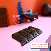 Chocolats de Pâques 2025 de la Manufacture de Chocolat Alain Ducasse