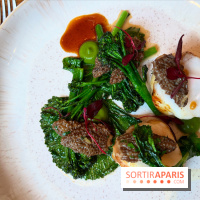 Colvert - Lotte au binchotan, morilles