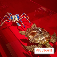 Exposition Wes Anderson à la Cinémathèque - DSC 2459