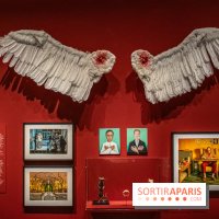 Exposition Wes Anderson à la Cinémathèque
