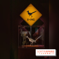 Exposition Wes Anderson à la Cinémathèque - DSC 2524