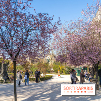 Le Square Viviani devant Notre-Dame de Paris