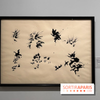 Daniel Cordier - IMG 2056