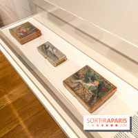 Exposition Maximilien Luce au Musée de Montmartre  - IMG 3639