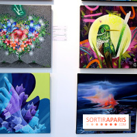 Street Nature Forte, nos photos de l'exposition - Street Nature Forte 4 fotor 2025032016118