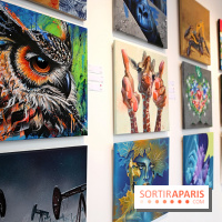 Street Nature Forte, nos photos de l'exposition - Street Nature Forte 5 fotor 20250320161016