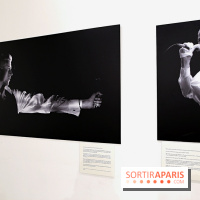 David Bowie, Mr Jones’ Long Hair, nos photos de l'expo à Paris - Expo Bowie 11 fotor 20250321211957