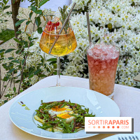 Le Jardin : le nouveau restaurant-terrasse bucolique d'Alain Ducasse chez Baccarat  - image00044