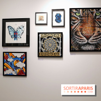 C’est pas la taille qui compte III, nos photos - Expo Street art 7