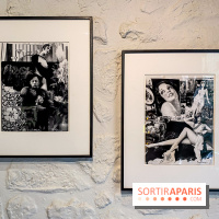 Exposition Irina Ionesco aux galeries Rachel Hardouin et La Lison