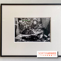 Exposition Irina Ionesco aux galeries Rachel Hardouin et La Lison - IMG 3691