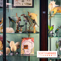 L'exposition gratuite des œuvres de Johnny Depp dans un cabinet de curiosités parisien - image00048