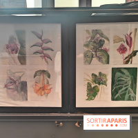 Des Chimères : l'exposition mystique à découvrir au musée Gustave Moreau, nos photos - fotor 1743190945332