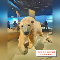 Déserts : l'exposition scientifique se dévoile au Muséum d'Histoire naturelle de Paris - fotor 1743502292036