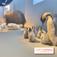 Déserts : l'exposition scientifique se dévoile au Muséum d'Histoire naturelle de Paris - fotor 1743502257173