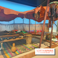 Déserts : l'exposition scientifique se dévoile au Muséum d'Histoire naturelle de Paris - fotor 1743501849642