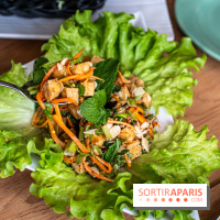 Buja restaurant végétarien thaï et Viet Paris 13e - photos - larb tofu