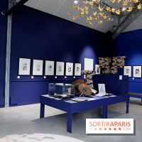 Rêves de Japon, nos photos de l'exposition à voir à Rueil-Malmaison - Rêves de Japon 12 fotor 20250401192659