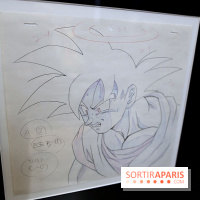 Rêves de Japon, nos photos de l'exposition à voir à Rueil-Malmaison - Rêves de Japon 19 fotor 20250401193842