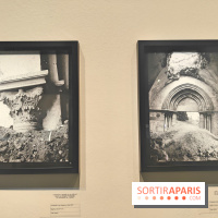 Trésors sauvés de Gaza : l'histoire de Gaza exposée à travers des vestiges archéologiques à l'IMA  - fotor 1743592118344