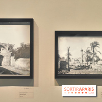 Trésors sauvés de Gaza : l'histoire de Gaza exposée à travers des vestiges archéologiques à l'IMA  - fotor 1743592106883