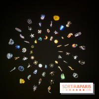 Digital Abysses au musée en Herbe - nos photos - 9ECF3129 95DF 4C74 9051 704E8027F710