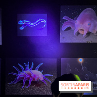 Digital Abysses au musée en Herbe - nos photos - 75DC5D6A 1C62 4583 B62A 02535EB14982