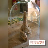 Exposition Marie-Ange Guilleminot à l'Abbaye de Maubuisson - DSC 2668