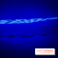 Into The Light, une exposition lumineuse à la Grande Halle de la Villette - IMG 8520