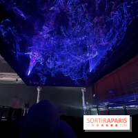 Into The Light, une exposition lumineuse à la Grande Halle de la Villette - IMG 8504