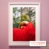 Exposition Le Paris d'Agnès Varda au Musée Carnavalet