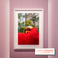 Exposition Le Paris d'Agnès Varda au Musée Carnavalet
