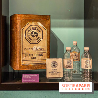 Disney100 : l'exposition des 100 ans de Disney à Paris Expo Porte de Versailles - IMG 4238