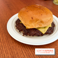 Dumbo - Smash burger