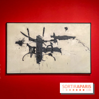 Exposition Georges Mathieu à la Monnaie de Paris - IMG 4506