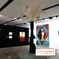 Expo collective et gratuite de street art à la galerie Itinerrance, nos photos  - Expo Galeie Itinerrance Avril 2025 18 fotor 202504118920