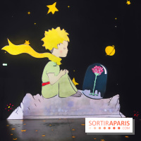Le Petit Prince, l'odyssée immersive : un voyage poétique et coloré à vivre à l'Atelier des Lumières - fotor 1744364094829