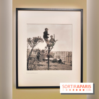 Robert Doisneau - Instants donnés : l'exposition photo se dévoile au musée Maillol