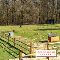 La Ferme de l’Abbaye des Vaux de Cernay : l'hôtel de charme en pleine nature dans les Yvelines - photos