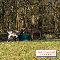 La Ferme de l’Abbaye des Vaux de Cernay : l'hôtel de charme en pleine nature dans les Yvelines - photos